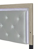 Crown Mark Furniture Jaylen King Upholstered Panel Bed in Gray