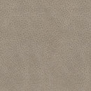 Narwhal Place Reclining Loveseat