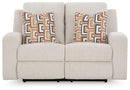 Danum Reclining Loveseat