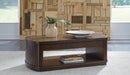 Korestone Lift-Top Coffee Table