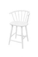 Janna Counter Height Stool